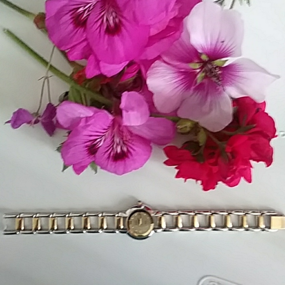 Anne Klein watch